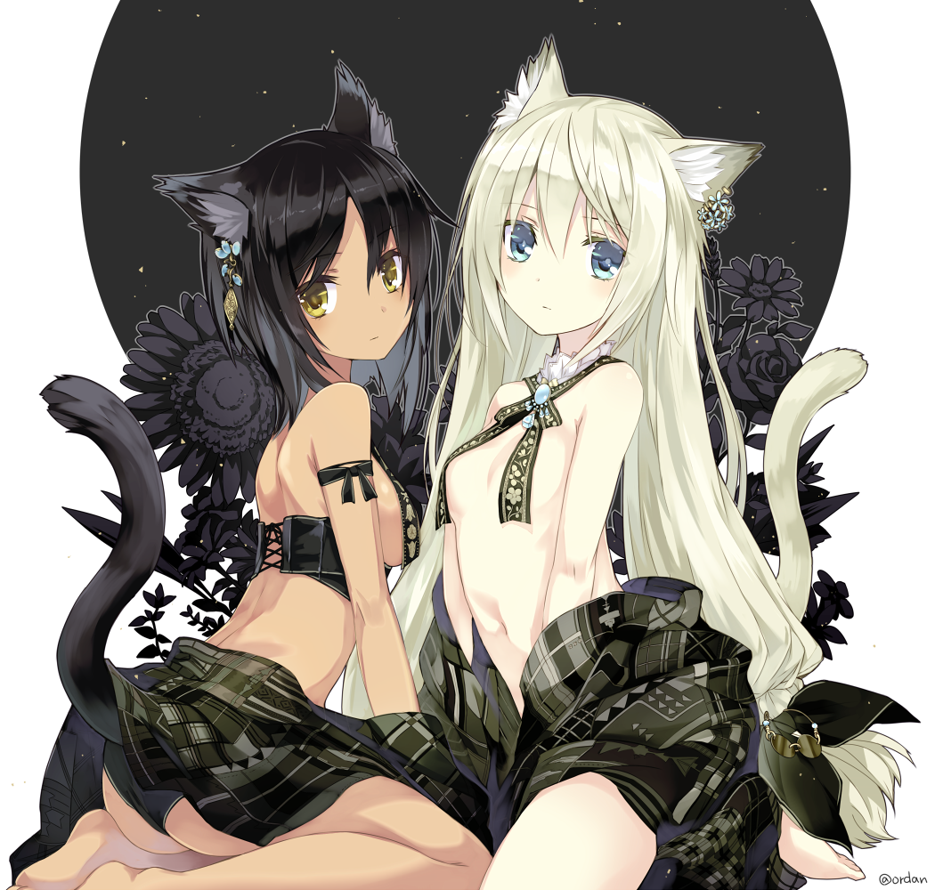 白猫と黒猫 アニメ壁紙 15