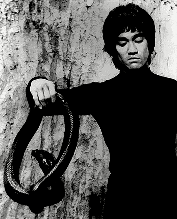 Bruce-Lee-inter the dragon