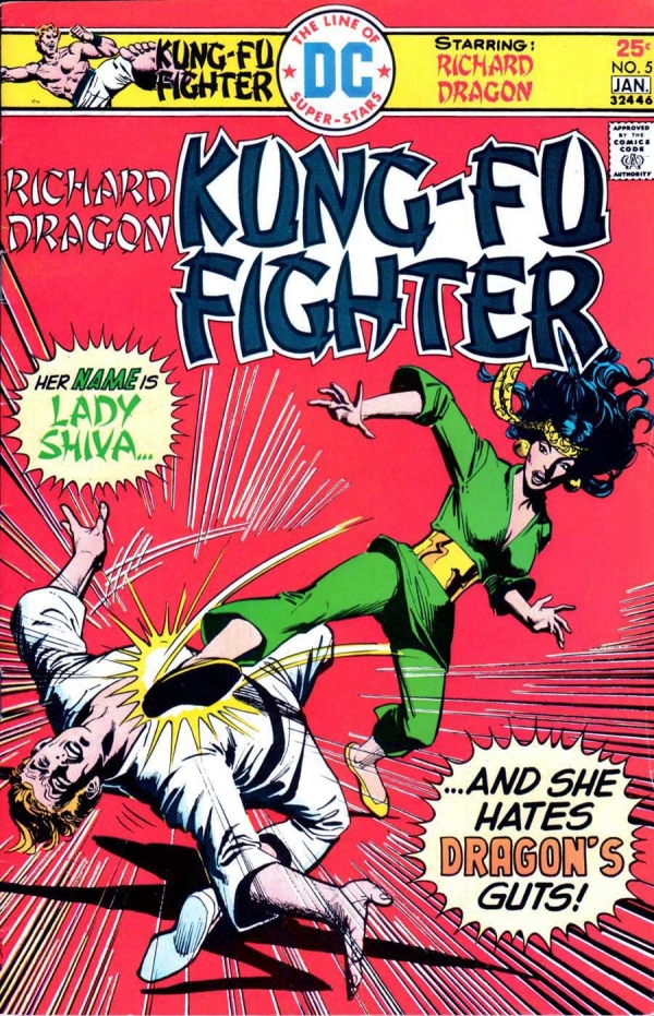 kung-fu fighter