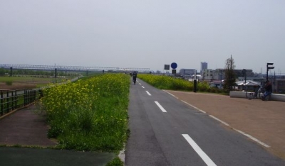 江戸川自転車道