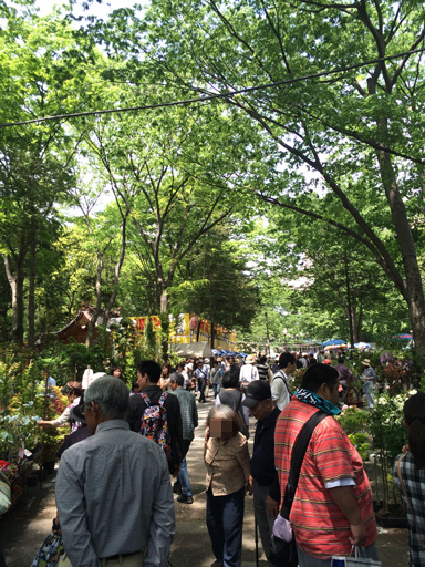 20150503くらやみ祭り (7)