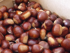 Chestnuts in box 2015