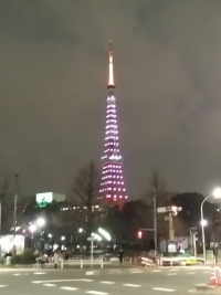 東京タワーピンクカラー