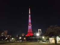 東京タワーバレンタインカラー