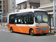 9908/BDG-HX6JLAE