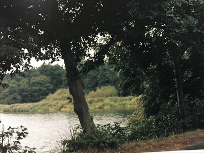 ジョージジェンセンの少年時代　湖岸の風景