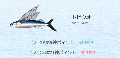 とび魚WS000295