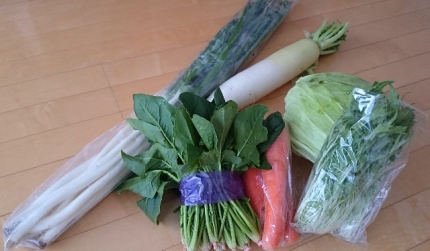 20141228-6-森農園製野菜お土産.JPG