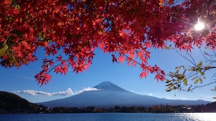 20141114-8-湖波プラ紅葉富士山.JPG
