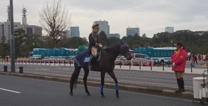20150102-8-皇居一般参賀皇宮警察騎馬隊.JPG