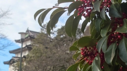 20150102-27-皇居一般参賀木の実越し富士見櫓.JPG