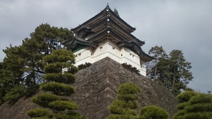 20150102-26-皇居一般参賀富士見櫓.JPG