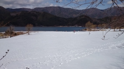 20150207-10-河口湖小海雪.JPG