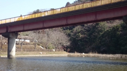 20150228-3-M亀山湖プリプラ2折木沢ボート横やぎ.JPG