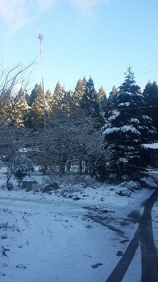 2014年12月の冬景色