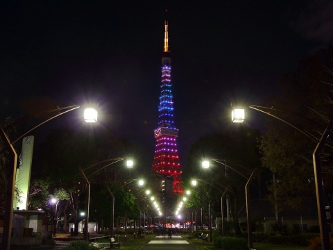 東京タワー　レインボーダイヤモンドヴェール　ハートマーク