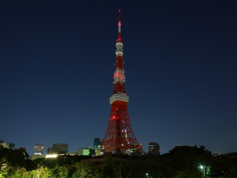 東京タワー　キャンドルナイト　ブラックイルミネーション