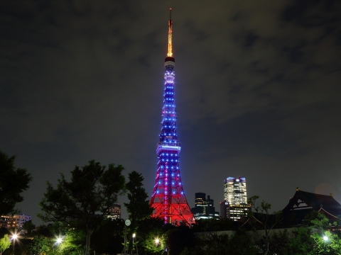 東京タワー　なでしこジャパン応援 東京タワー特別ライトアップ