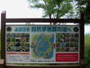 福島潟の自然学習園の池の図